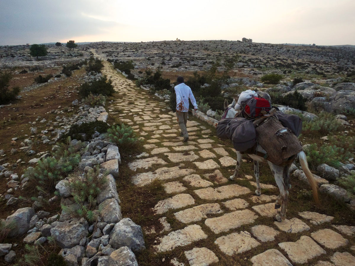 Sağlıklı Roma Yolu